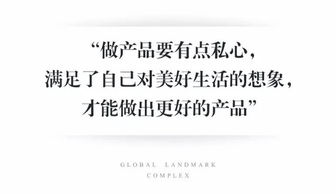寶能 用心，與城市一起改變——專業房產咨詢的力量